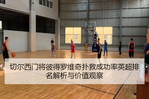 切尔西门将彼得罗维奇扑救成功率英超排名解析与价值观察